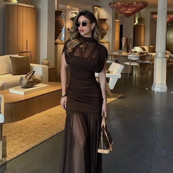 Zara Dresses & Skirts - Zara Brown Sheer-Panel Maxi Dress